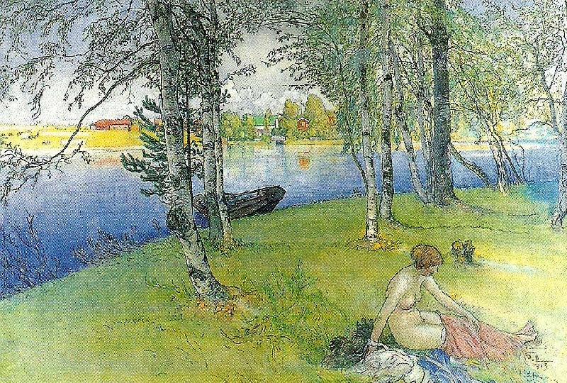 Carl Larsson nakenmodell pa bullerholmen-sommardag oil painting image